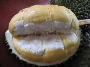 gambar durian bokor image