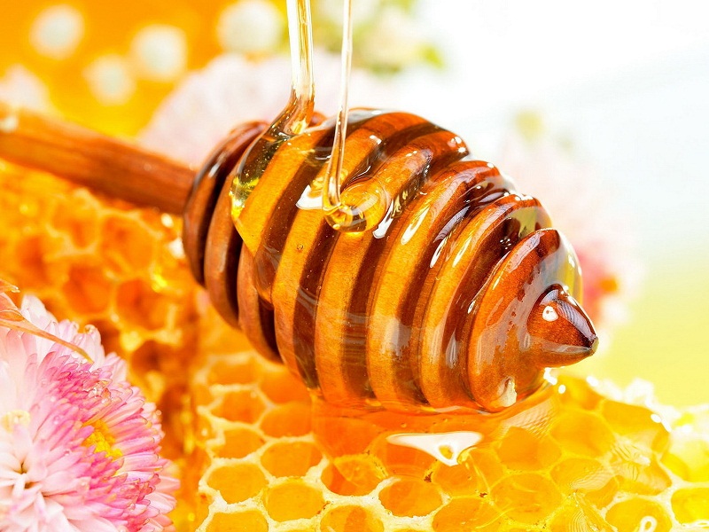 gambar madu yang dihasilkan dari lebah image