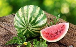 gambar cara menanam semangka image