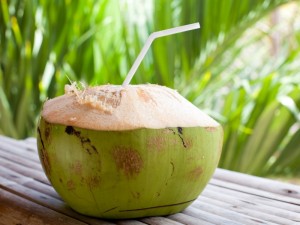 gambar manfaat kelapa muda image