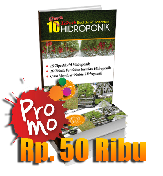 E-Book Budidaya Tanaman Hidroponik