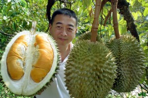 Gambar buah durian berkualitas image