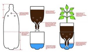 Cara membuat tanaman hidroponik dari botol bekas