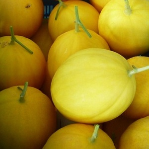 melon kuning